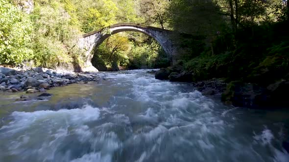 Historical Arch Bridge Stream and Woodland