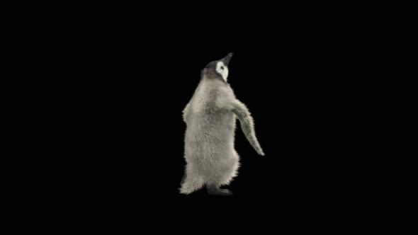 Penguin Dancing HD alt