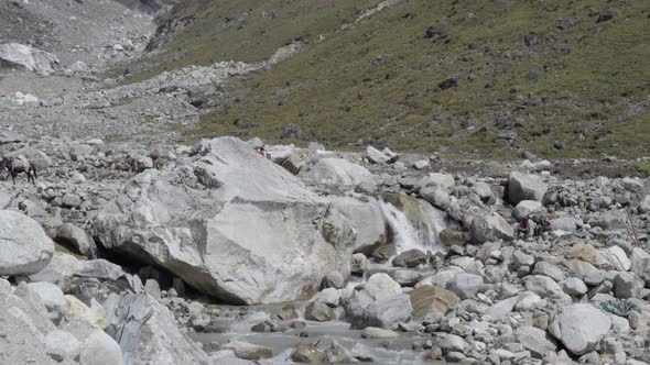 After Disaster in Kedarnath Temple 2013 Life Started Again