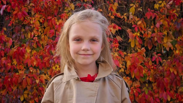 Beautiful Little Girl Autumn Portrait