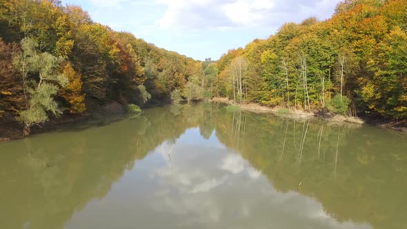 Aerial drone view above the pond in the colorful beech forest in autumn.