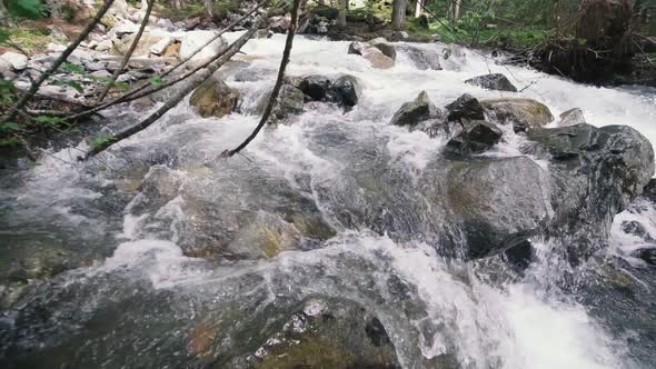 Mountain River with Rocks in Wood Slow Motion Footage Dolomites South Tyrol Italy alt