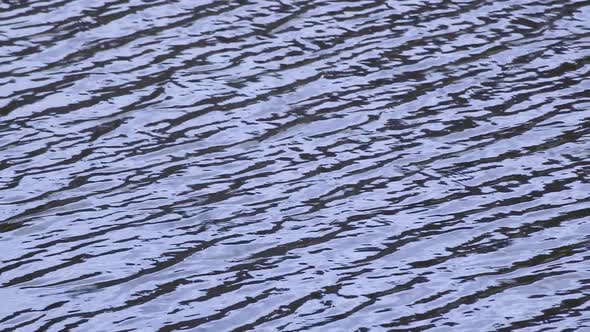 Ripples on water, sky reflection, water background