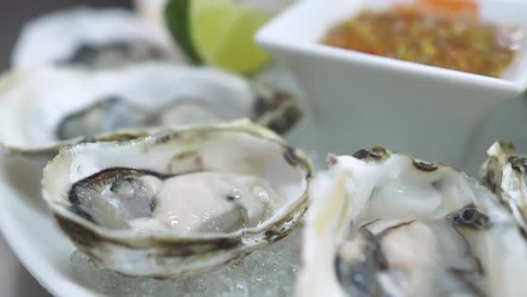 Motion to Dish with Delicious Oysters Sauce and Lime Slices alt