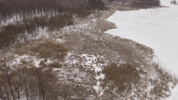 Frozen Shore Near The Forest alt