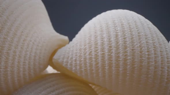 White Round Pasta alt