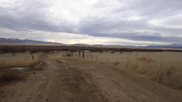 Walking down dirt road winding through grassy field on old farm alt