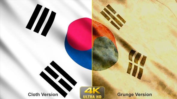 South Korea  Flags  by StrokeVorkz VideoHive