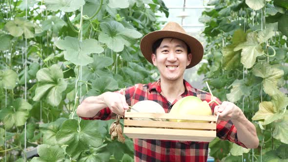 Young Asian Male Farmer Holding a Basket of Cantaloupe Melon in Greenhouse Farm alt