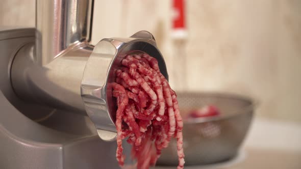 Electric Meat Grinder alt