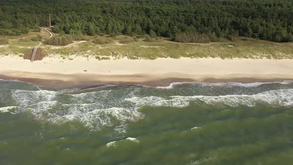 AERIAL: Pan Shot of Sandy Beach with Green Pine Forest in Background near Baltic Sea