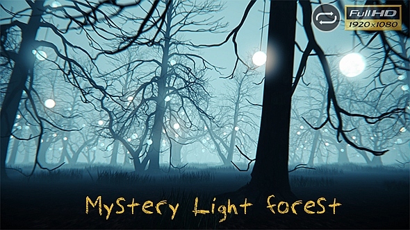 Mystery Lights Forest V1