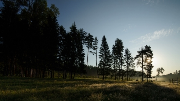 Morning In The Forest, The Movement Of The Sun alt