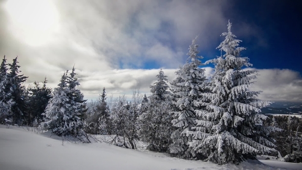 A Strong Winter Sun alt