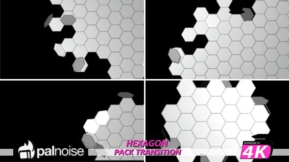 Unfold Fold Hexagons Matte Transition (5-Pack)