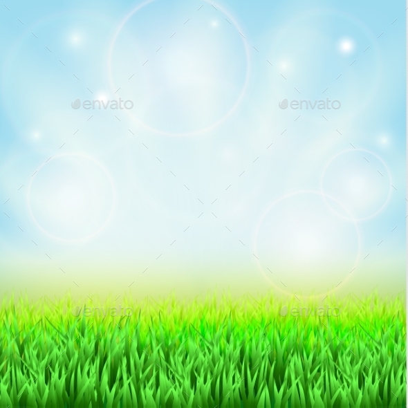 Spring Green Grass By Prikhnenko Graphicriver