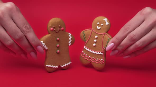 Female Rights Gender Discrimination Gingerbread alt