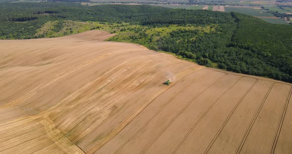 Countryside. The Combine Harvests Grain Crops
