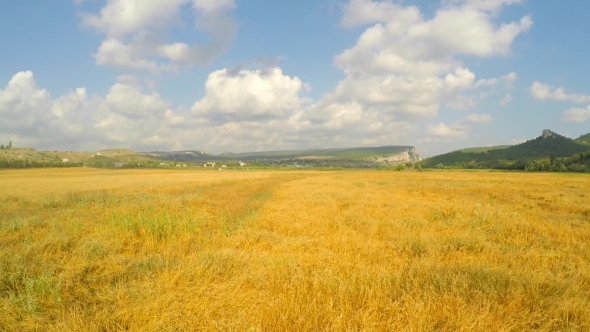 Rural Combine Harvesting Grains at Picturesque Place
