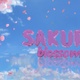 Falling Sakura Blossom Petals Pack - VideoHive Item for Sale