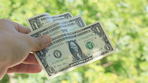 United States Dollars In Hand Waving In Wind