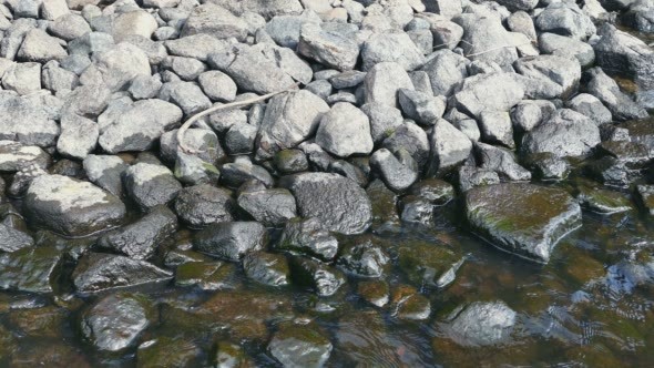 Water Splashes to Stones on The Lake Shore