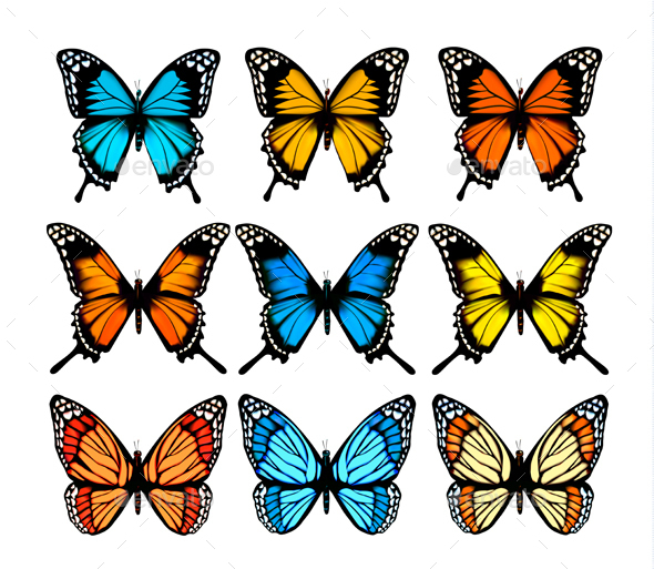 Collection of Colorful Butterflies - Animals Characters