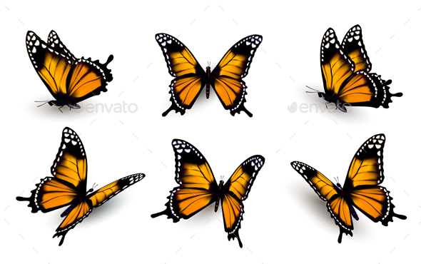 Six Butterflies Set - Animals Characters