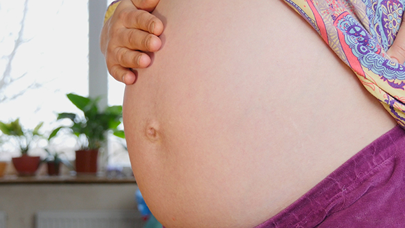 Pregnant Woman Showing Her Belly alt