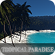 Tropical Paradise - VideoHive Item for Sale