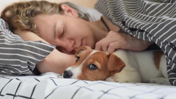 Woman Sleeps with Jack Russell Terrier Puppy Dog in Bed in the Morning alt
