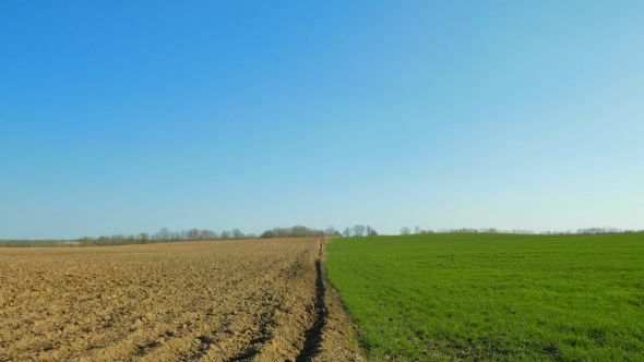 Plowed and Green Field in Spring alt