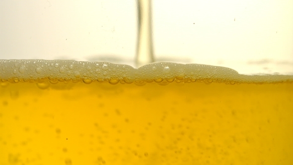 Golden Light Beer Being Poured Into a Glass 