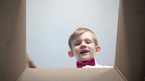 The Happy Little Boy Open the Box Near the Christmas