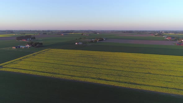 View Over Rapeseed Field Landscape