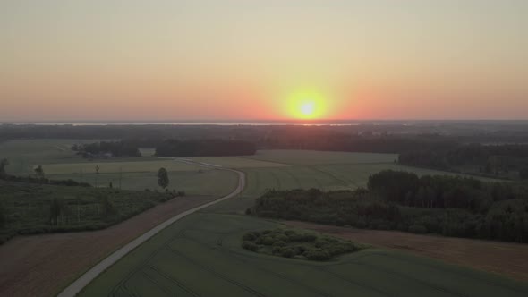 Countryside in Summer alt