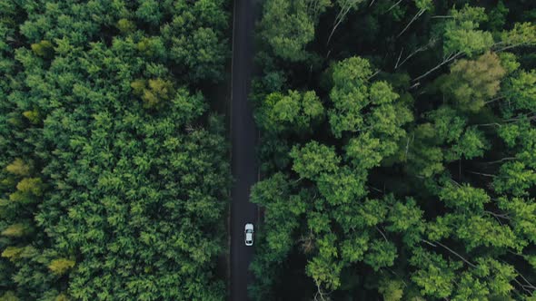 Aerial Top Down  View of White Car Driving alt