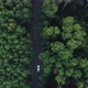 Aerial Top Down  View of White Car Driving - VideoHive Item for Sale