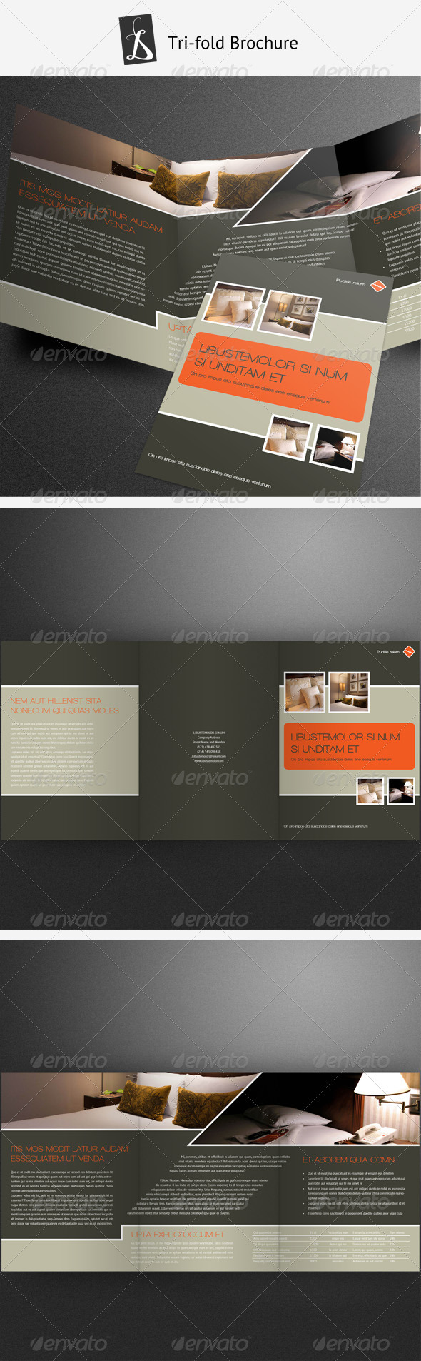 Tri-fold Brochure 6