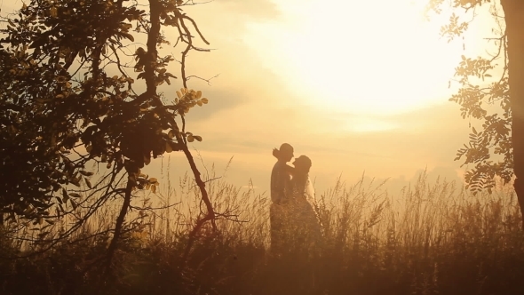 Young Married Couple Softly Kissing On The Background Of a Sunset In The Field