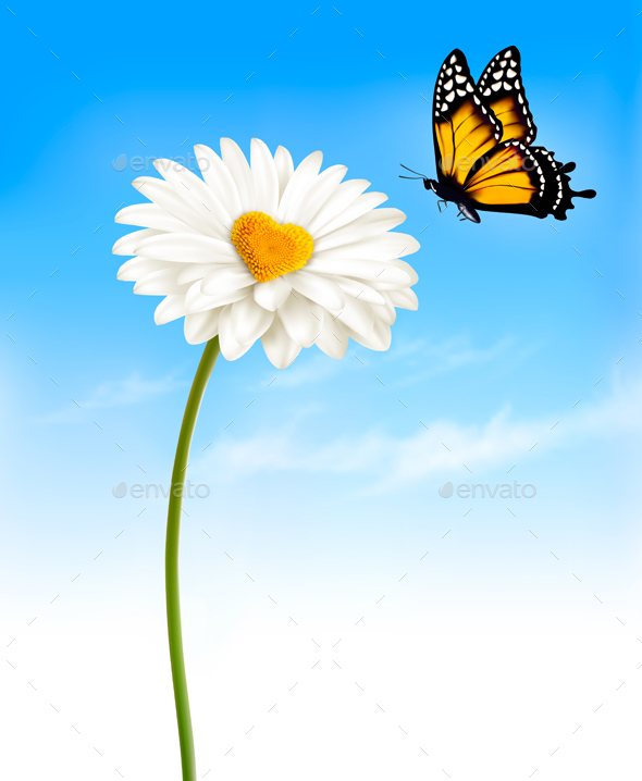 Daisy With A Heart Shaped Middle And A Butterfly Vector - Flowers & Plants Nature