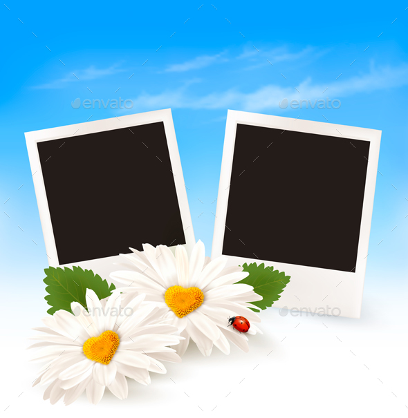 Happy Valentines Day Background Two Daisies And Photos - Valentines Seasons/Holidays