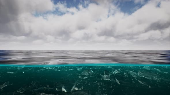 Split View Over and Under Water in the Caribbean Sea with Clouds alt
