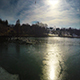 Seagulls on Frozen Lake - VideoHive Item for Sale