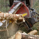 Harvester Cut Down Head Cut a Pine Crown into Pieces Harvester Cut Down Head Cut a Pine Crown into Pieces - VideoHive Item for Sale