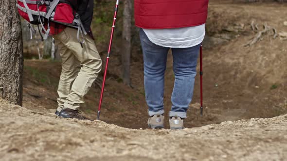 Pensioners with Trekking Poles Walking Down Hill alt