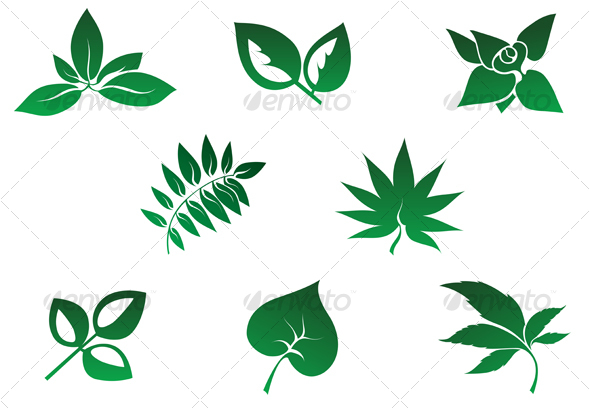 Set of leaves icons - Decorative Vectors