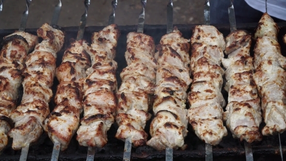 a Man Roasts Skewers On Nature alt