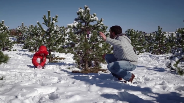 Little Girl With Father Playing With Snowballs alt