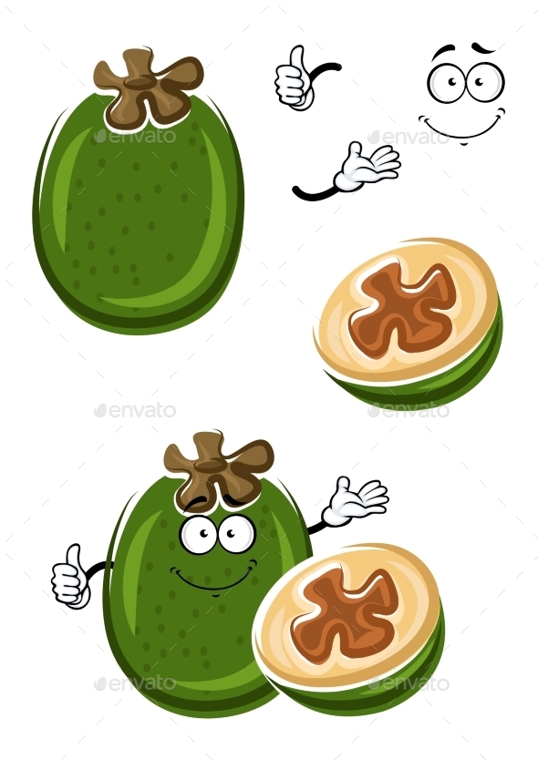 Cartoon Tropical Feijoa Or Pineapple Guava Fruit - Food Objects